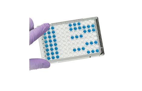 abts elisa kit|abts enzyme substrate.